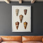Cone Shell Collection II - Modern Framed Canvas Print