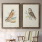 Hawk Owl - Premium Framed Canvas 2 Piece Set - Ready to Hang