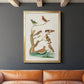 Antique Birds in Nature III - Modern Framed Canvas Print