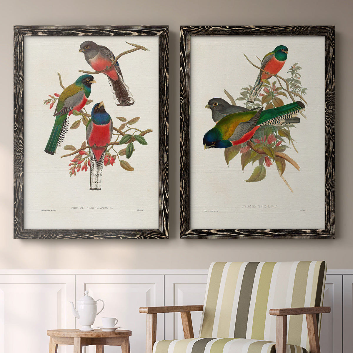 Elegant Trogons IX - Premium Framed Canvas 2 Piece Set - Ready to Hang