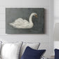 White Swan/Black Swan II - Canvas Art Print