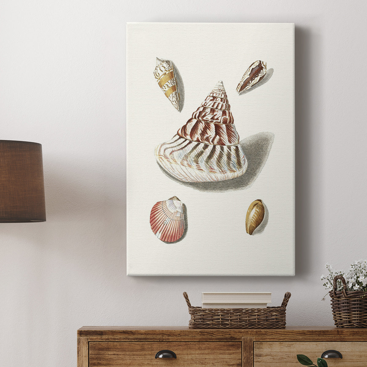 Pastel Knorr Shells VII - Canvas Art Print