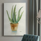 Succulent IV - Canvas Art Print