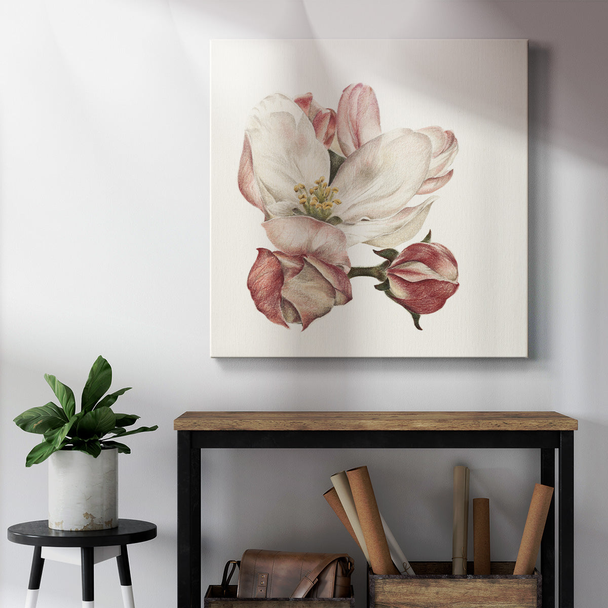 Enlightenment Blossom III - Canvas Art Print