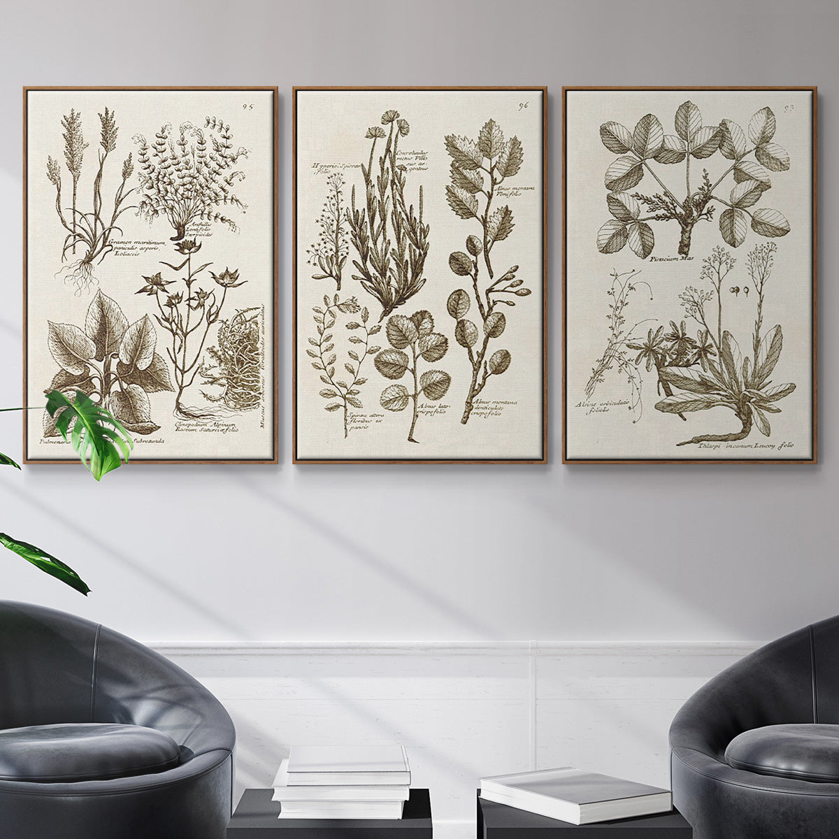 Sepia Botanical Journal VI - Framed Premium Gallery Wrapped Canvas L Frame 3 Piece Set - Ready to Hang