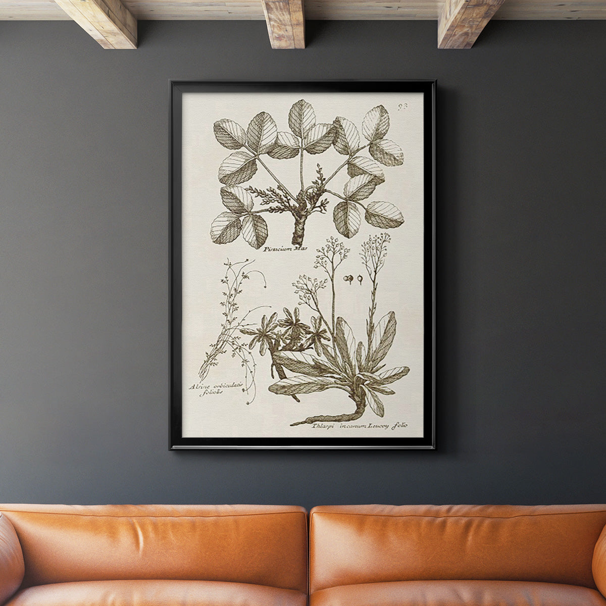 Sepia Botanical Journal VI - Modern Framed Canvas Print