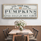 Pumpkin Patch I - Floater Framed Canvas Print