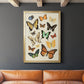 Collected Flutter I - Modern Framed Canvas Print