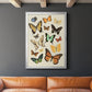 Collected Flutter I - Modern Framed Canvas Print