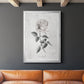 Vintage Botanical I - Modern Framed Canvas Print
