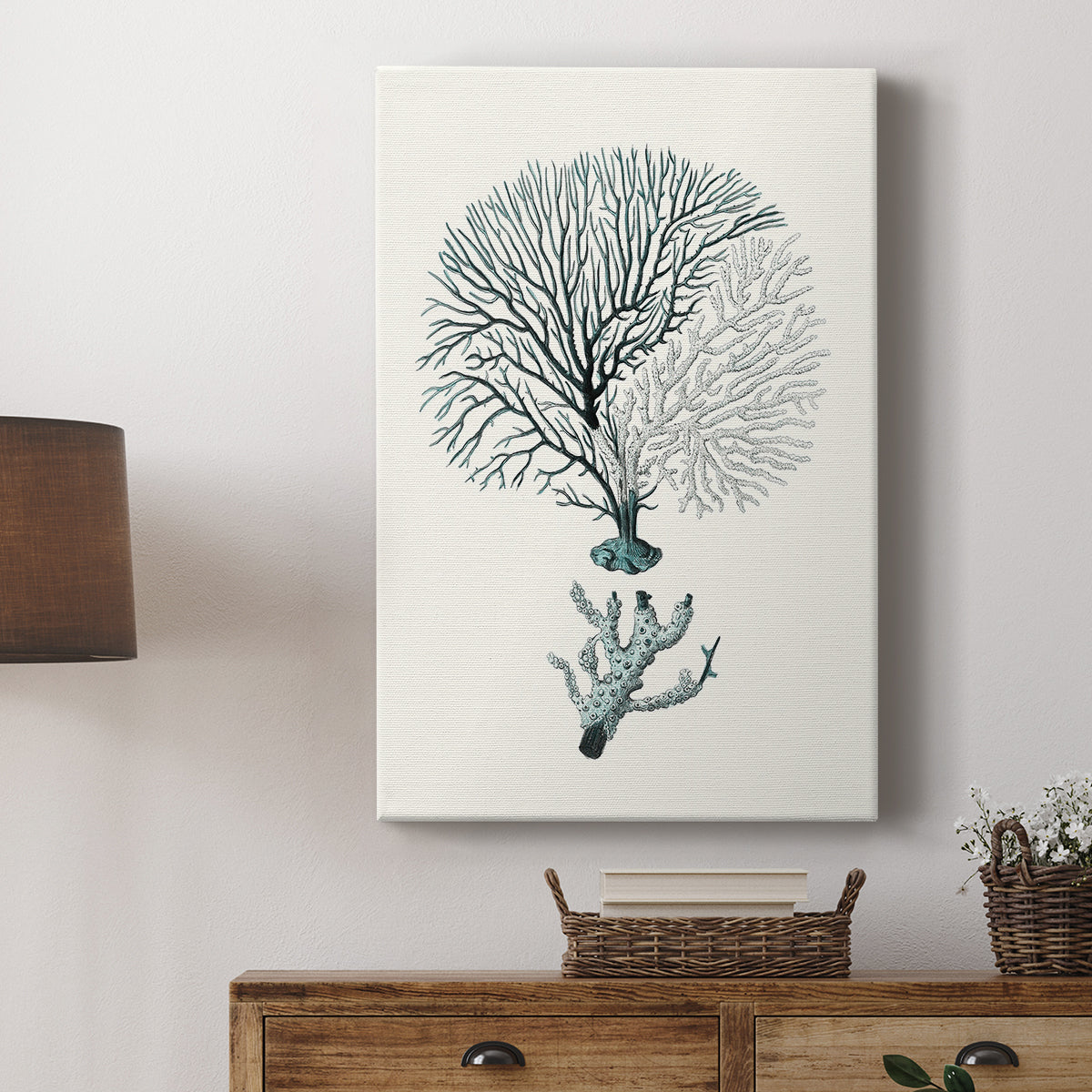 Antique Coastal Coral III - Canvas Art Print