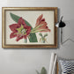 Amaryllis Splendor I Premium Framed Canvas- Ready to Hang