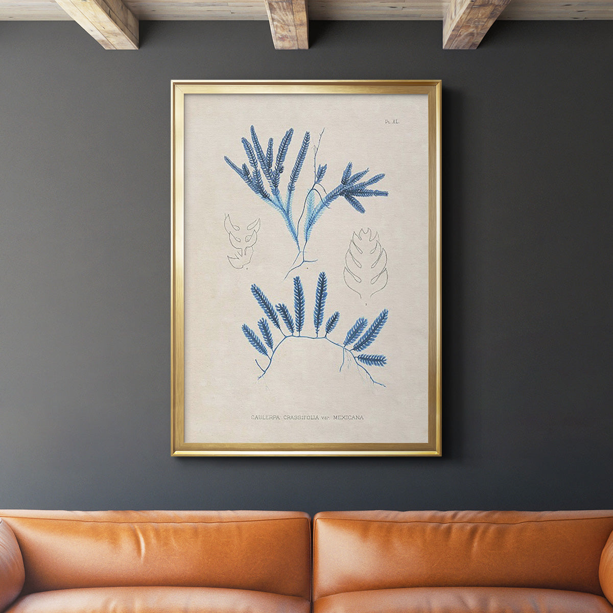 Blue Marine Algae I - Modern Framed Canvas Print