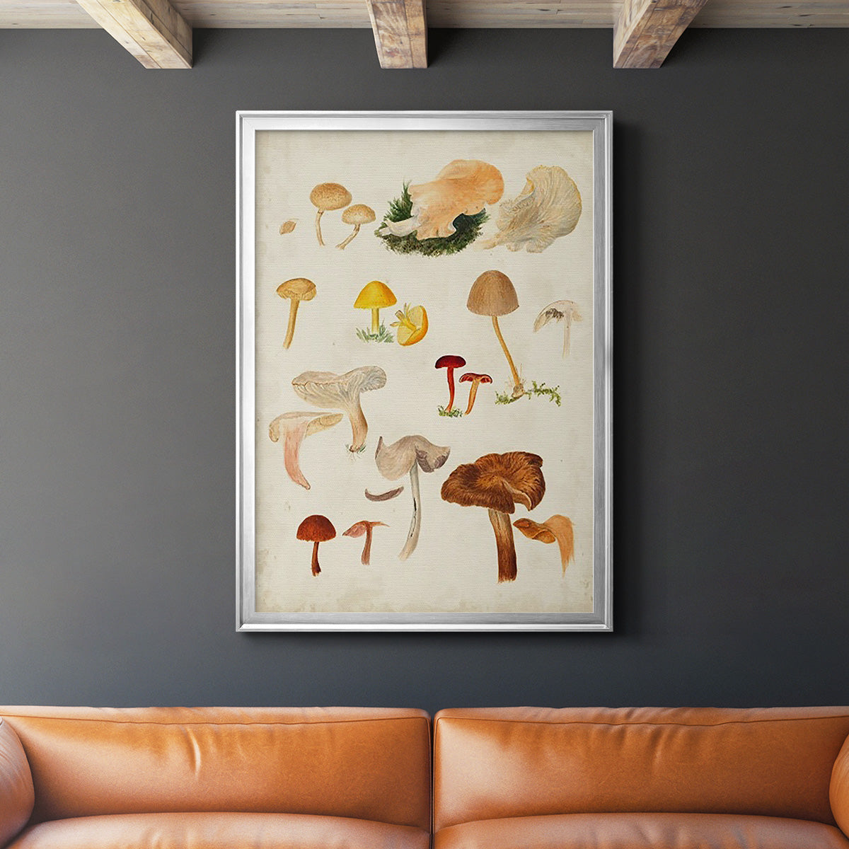 Mushroom Species XII - Modern Framed Canvas Print