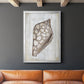 Ocean Cone I - Modern Framed Canvas Print