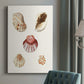 Pastel Knorr Shells V - Canvas Art Print