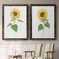 Sunflower I   - Premium Framed Canvas 2 Piece Set - Ready to Hang