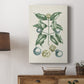 Buchoz Tropicals VII - Canvas Art Print