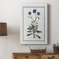 Soft Botanical II - Canvas Art Print
