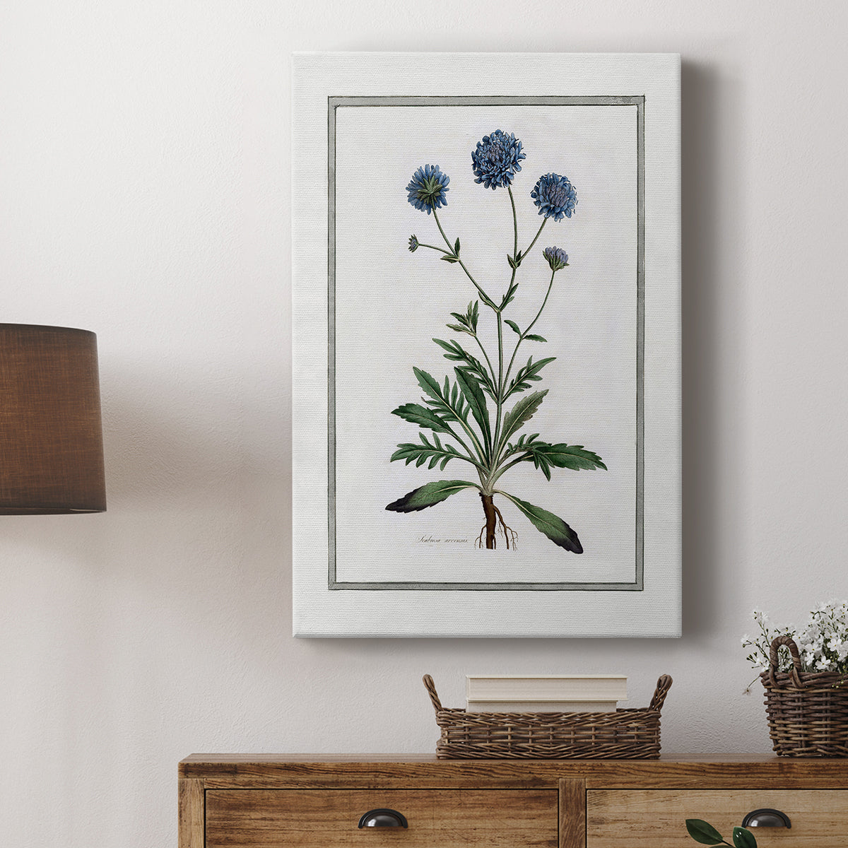 Soft Botanical II - Canvas Art Print