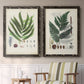 Collected Ferns III - Premium Framed Canvas 2 Piece Set - Ready to Hang