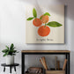 Citrus Trattare II-Premium Gallery Wrapped Canvas - Ready to Hang