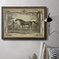 Distinguished Horses IV Premium Framed Canvas- Ready to Hang