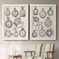 Pocket Watch Sketches I - Premium Framed Canvas 2 Piece Set - Ready to Hang