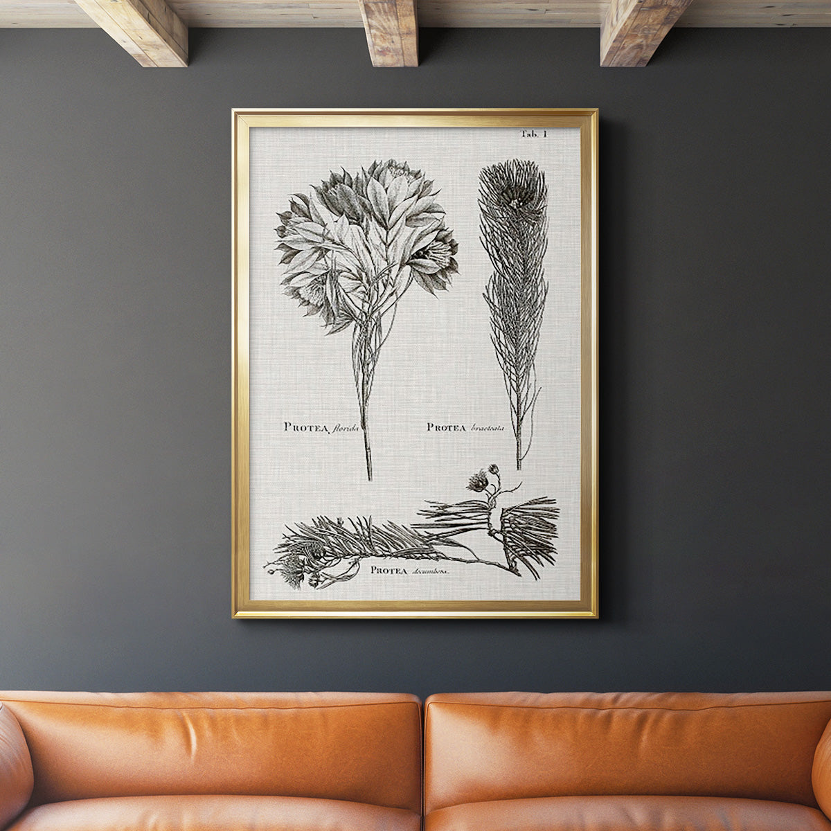 Black & White Protea on Linen I - Modern Framed Canvas Print