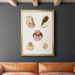 Pastel Knorr Shells V - Modern Framed Canvas Print