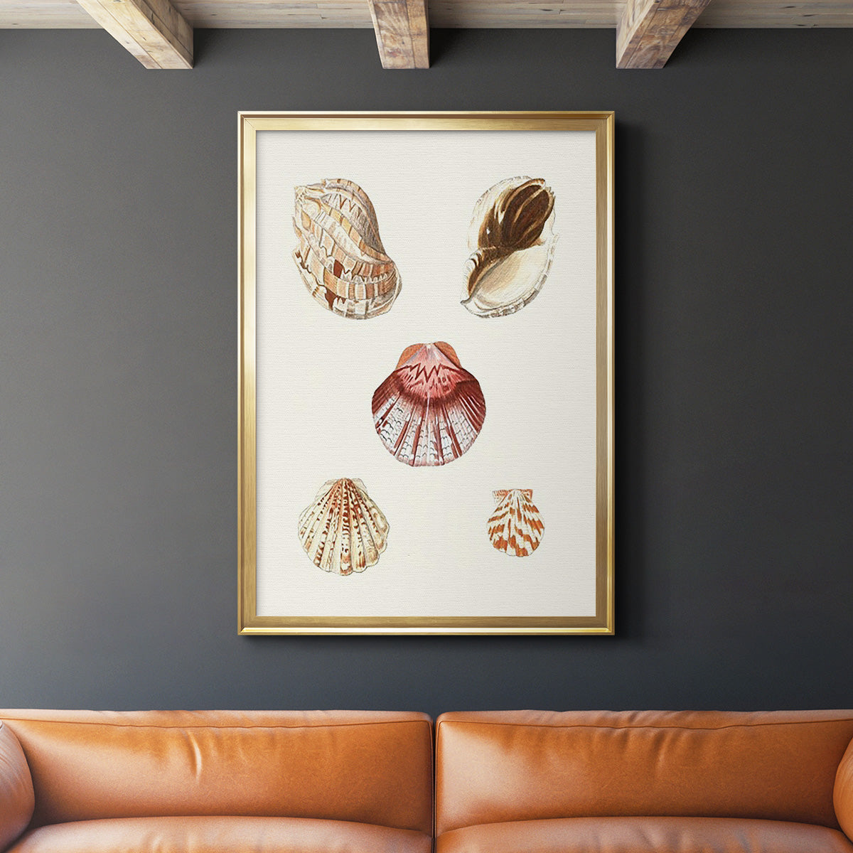 Pastel Knorr Shells V - Modern Framed Canvas Print
