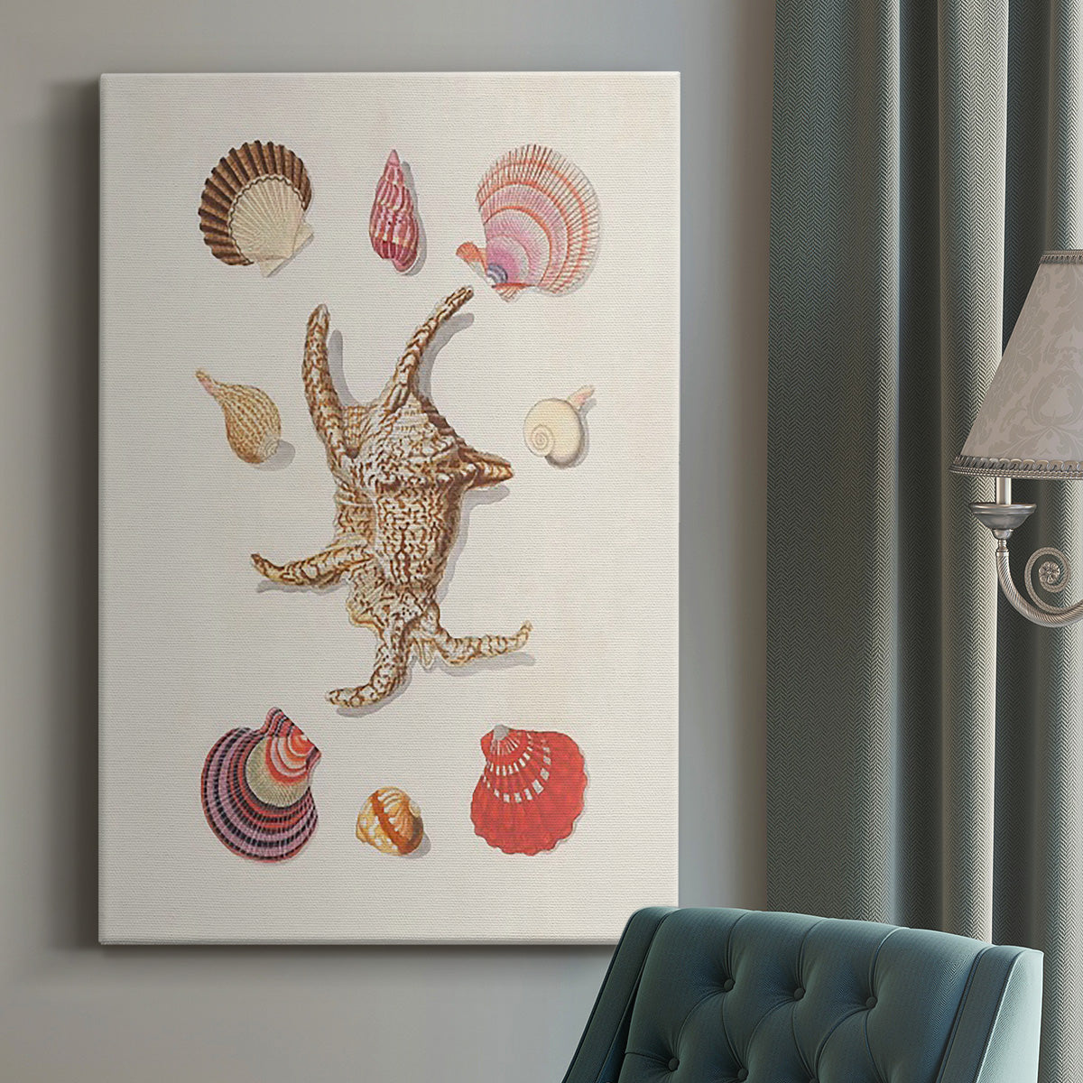 Knorr Shells & Coral II Premium Gallery Wrapped Canvas - Ready to Hang