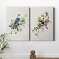 Spring Song Gray Jay Premium Gallery Wrapped Canvas - Ready to Hang - Set of 2 - 8 x 12 Each