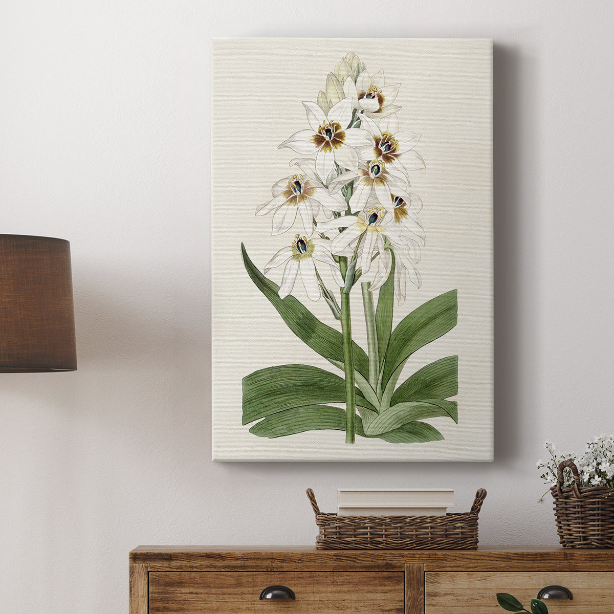 Flore Albo I - Canvas Art Print