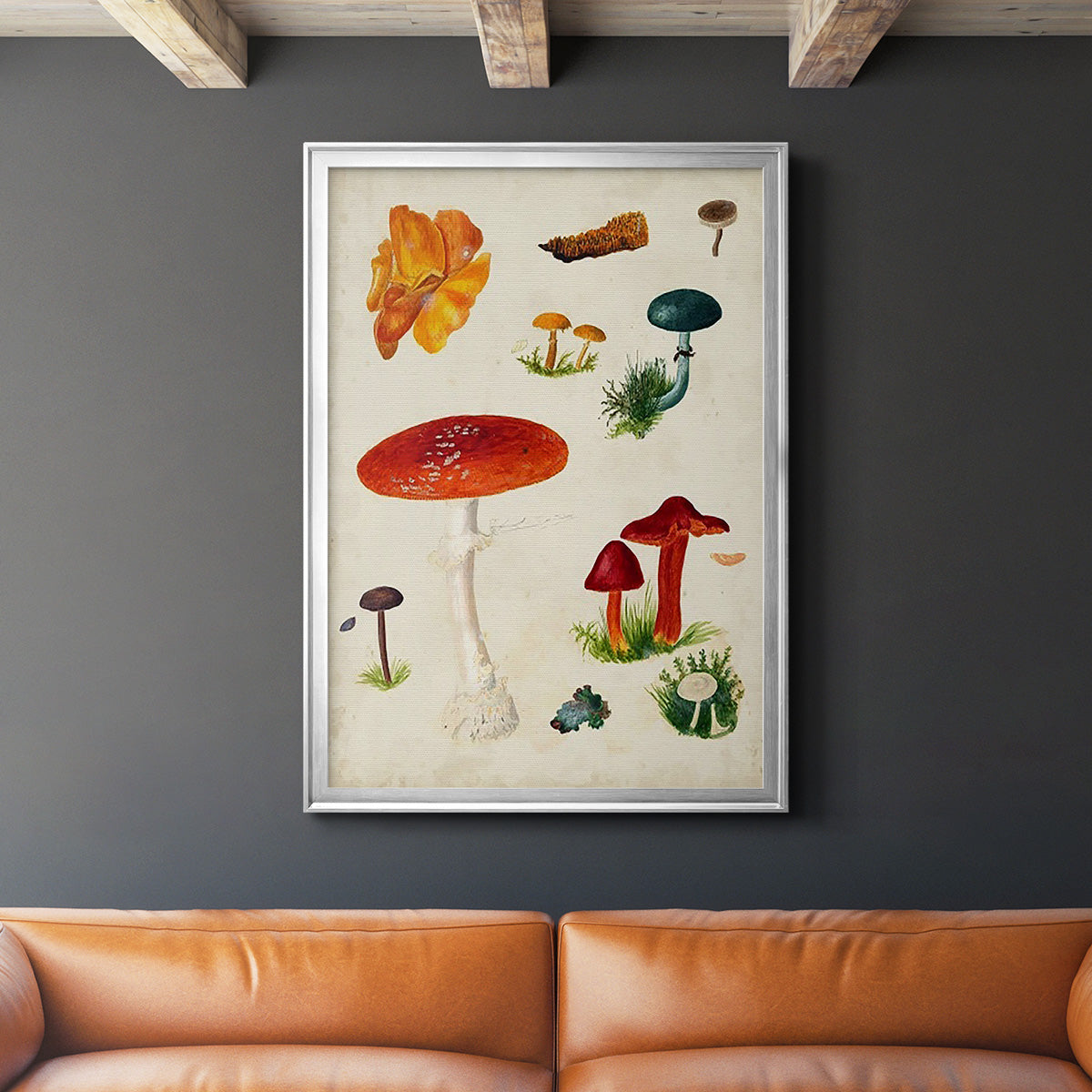 Mushroom Species VIII - Modern Framed Canvas Print