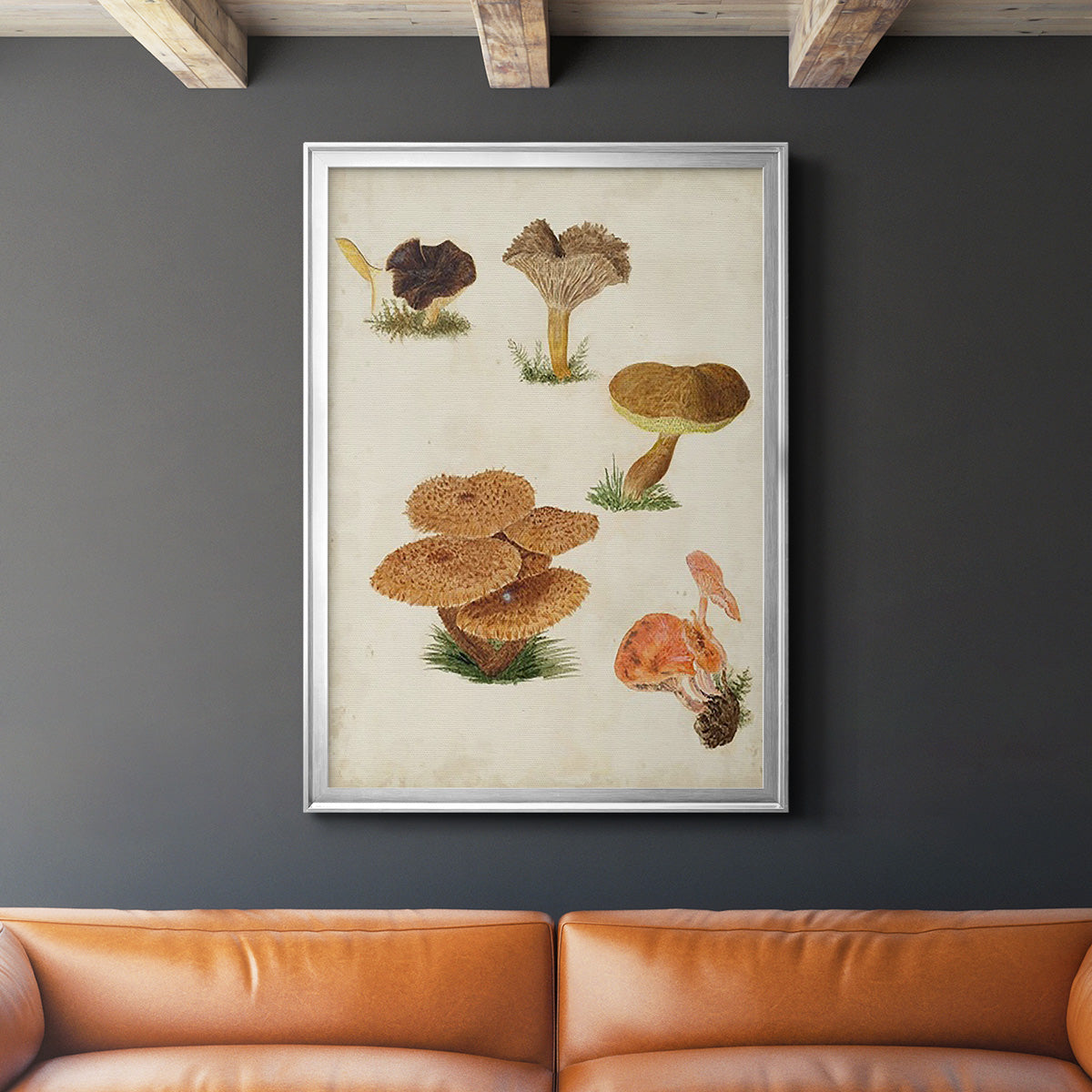 Mushroom Species V - Modern Framed Canvas Print