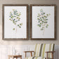 Eucalyptus I   - Premium Framed Canvas 2 Piece Set - Ready to Hang