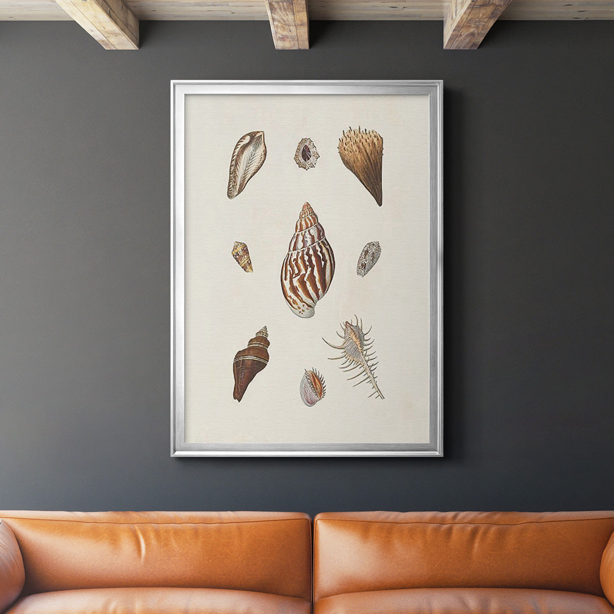 Knorr Shells & Coral IX - Modern Framed Canvas Print