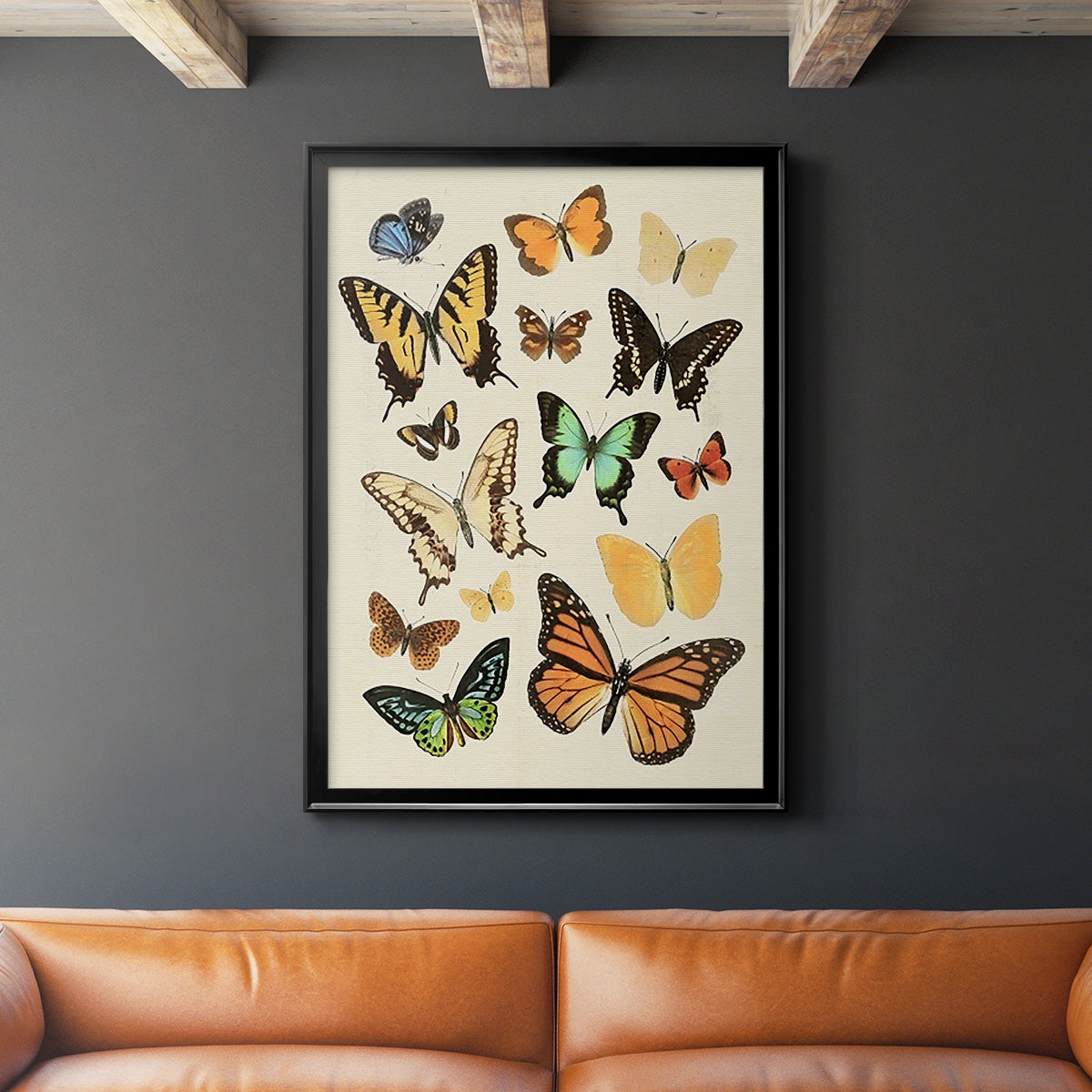 Collected Flutter I - Modern Framed Canvas Print