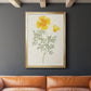 Flowers of the Seasons IX - Modern Framed Canvas Print