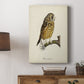 French Owls II - Canvas Art Print