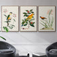 Bird in Habitat III - Framed Premium Gallery Wrapped Canvas L Frame 3 Piece Set - Ready to Hang