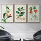 Turpin Tropical Botanicals IV - Framed Premium Gallery Wrapped Canvas L Frame 3 Piece Set - Ready to Hang