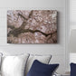 Spring's Arrival - Canvas Art Print