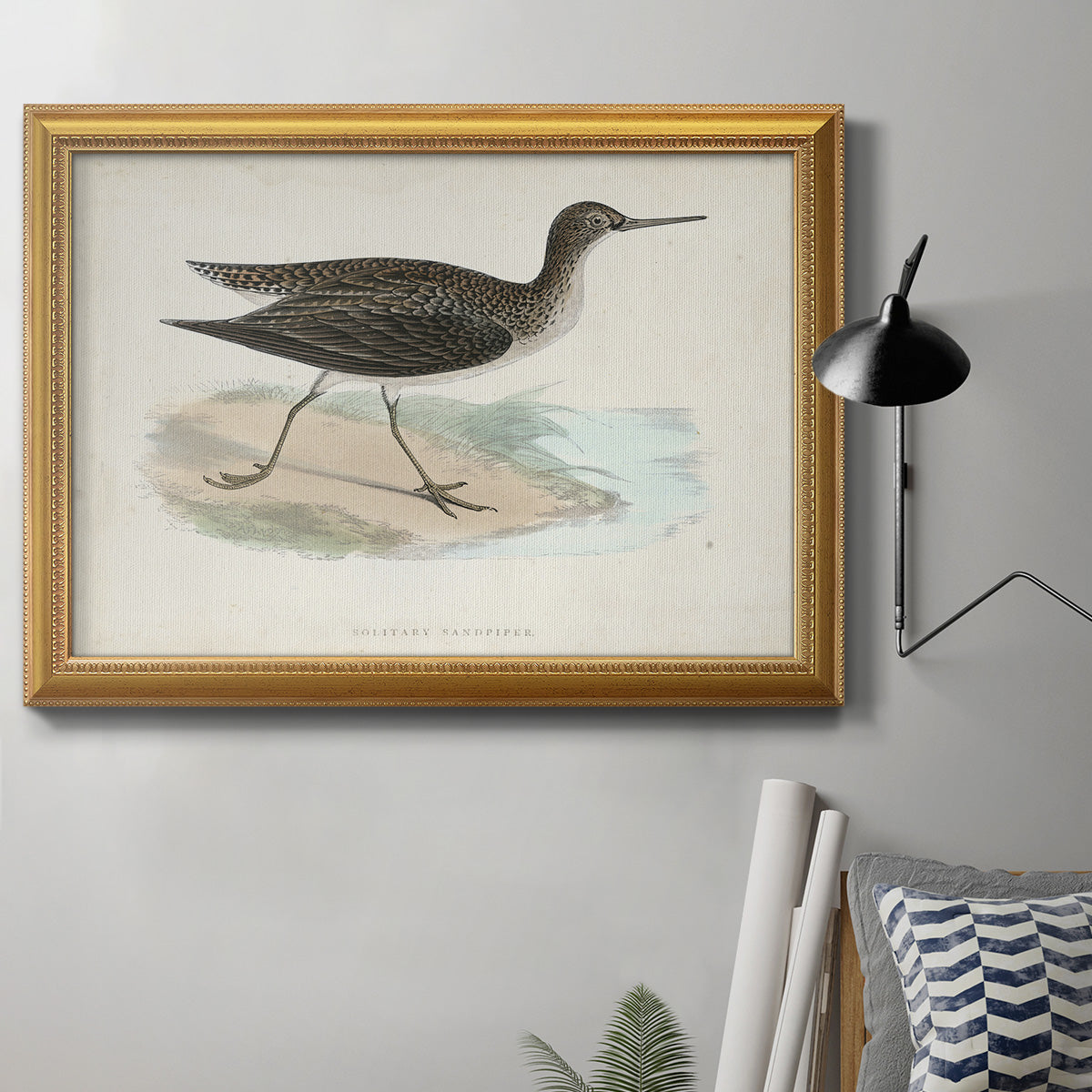 Morris Sandpipers VII Premium Framed Canvas- Ready to Hang