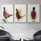 Pheasant Splash 3 - Framed Premium Gallery Wrapped Canvas L Frame 3 Piece Set - Ready to Hang