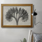 Vintage botanical plant study photograph by Karl Blossfeldt in an ornate traditional gold frame displayed in a neutral interior setting.