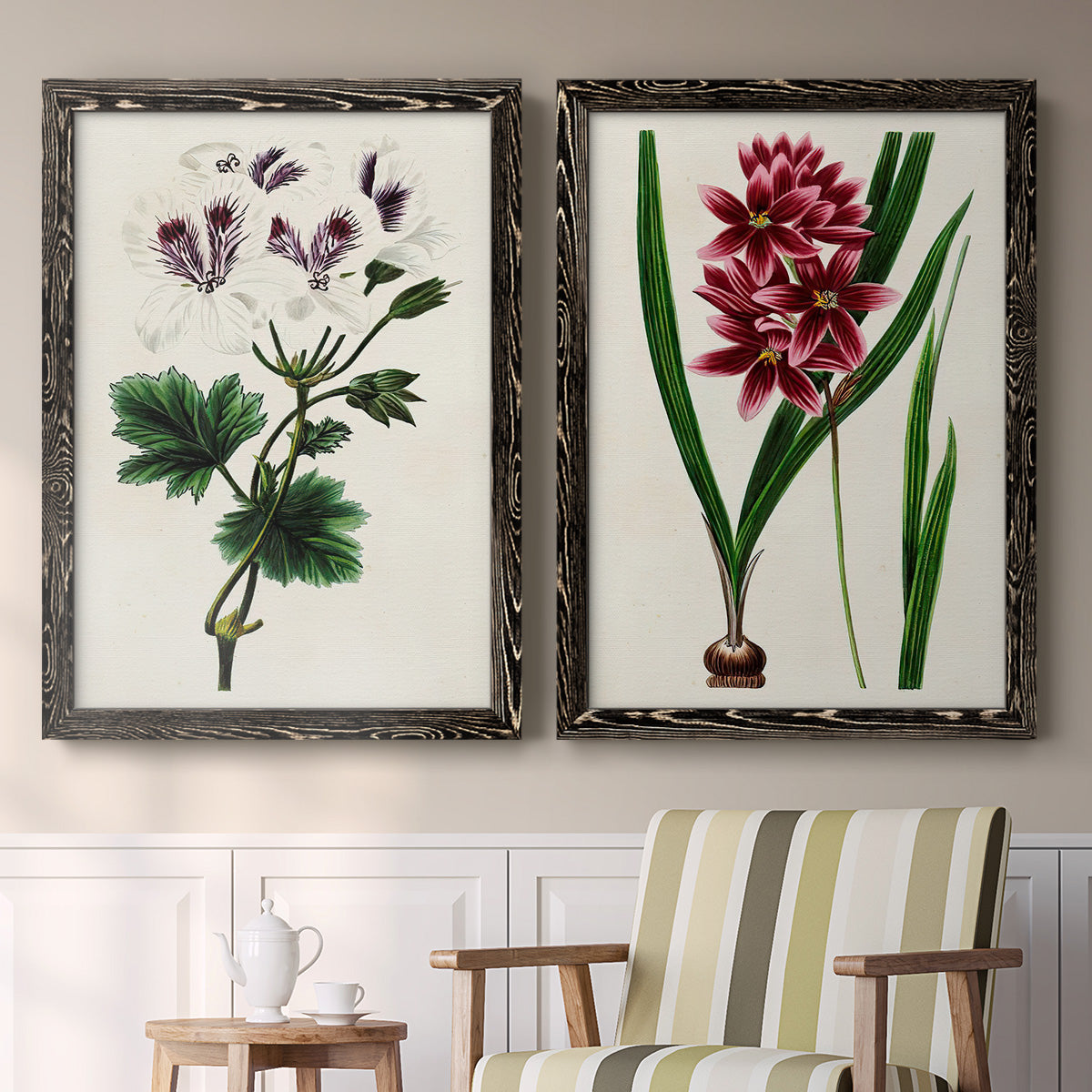 Set of two black barnwood framed canvas prints depicting two antique botanical plate illustrations featuring colorful flowering plant specimens above a sideboard in a cozy sitting room.