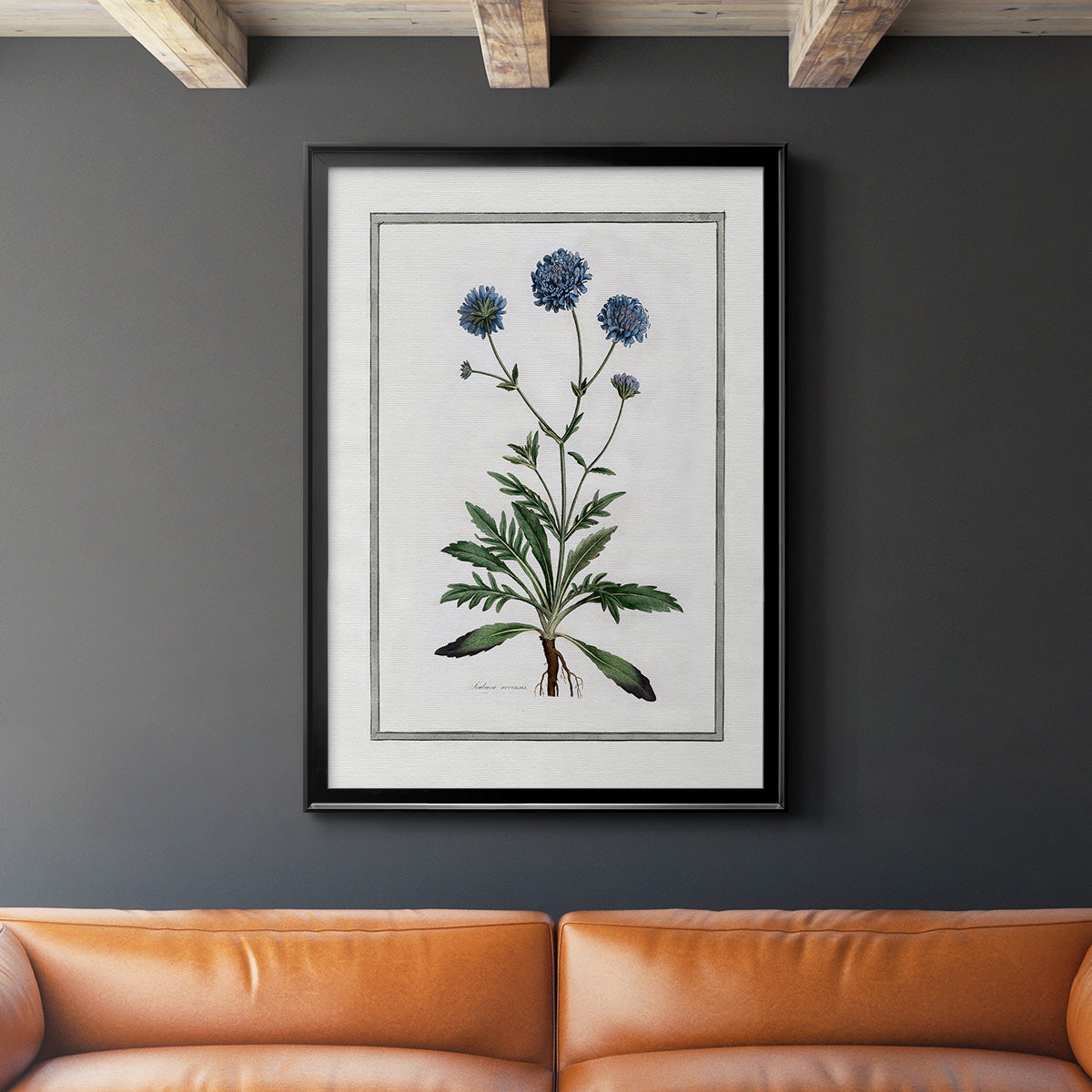 Soft Botanical II - Modern Framed Canvas Print