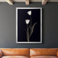 Tulip Pose II - Modern Framed Canvas Print